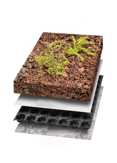 Montauban Drain 25 Classic drainageplaat met sedumopbouw
