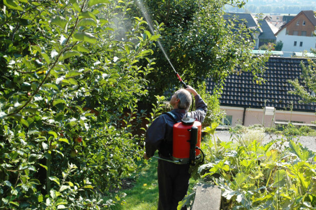 Rugsproeier hovenier